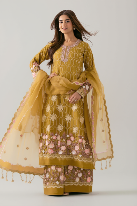 Premium Embroidered Chiffon Dress