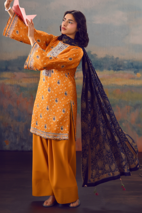 Elara Embroidered Lawn Set