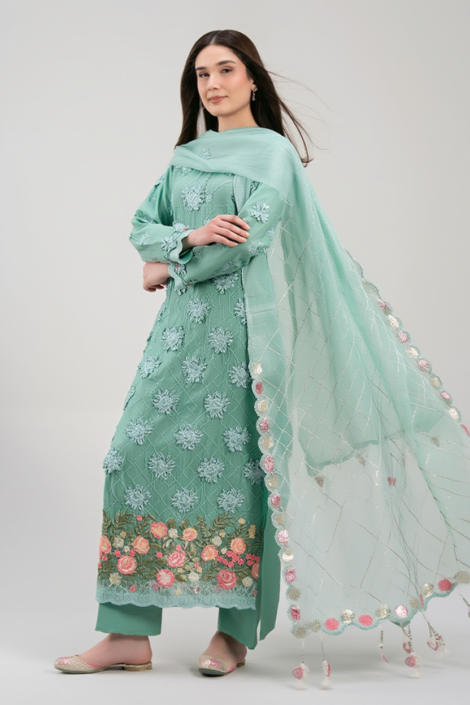 Premium Embroidered Chiffon Dress